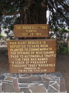 Plaque commemorating the planting of the Roosevelt Tree in the Owens Valley