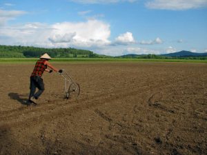 The author with a high-wheel cultivator - one of the challenges of small-scale agriculture