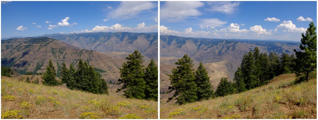 View of Hell's Canyon from the Oregon rim. diptych