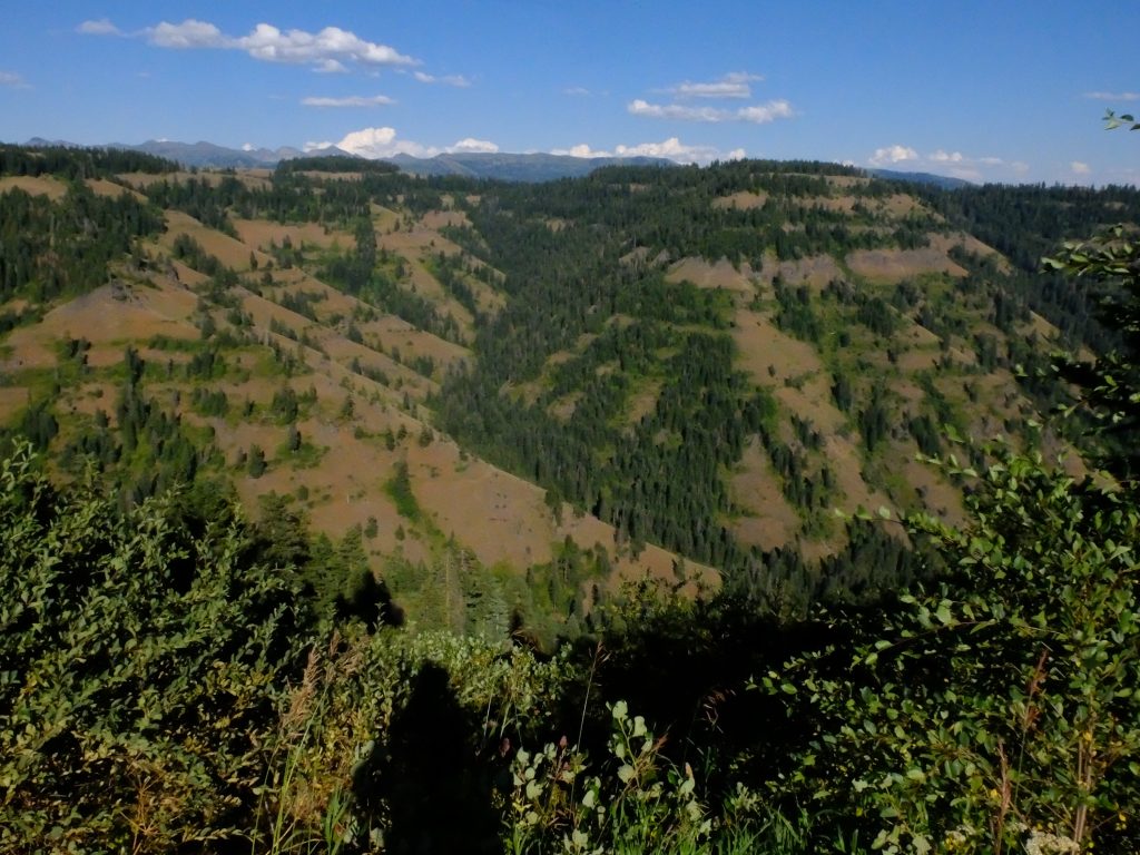 View of Hell's Canyon from the Oregon rim. Note the horizontal bands of vegetation along rock layers and the vertical ones in crevasses.