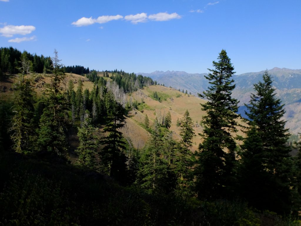 View of Hell's Canyon from the Oregon rim, with Seven Devils moutains in distance