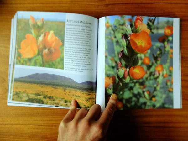 “A Photographic Love Letter to the Flora & Fauna of the Mojave Desert”