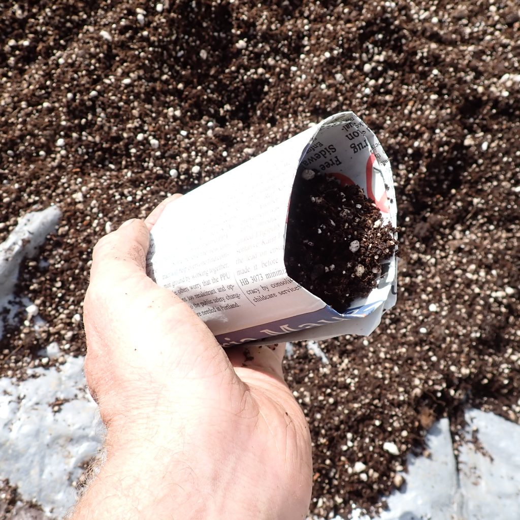 Fill pot with soil